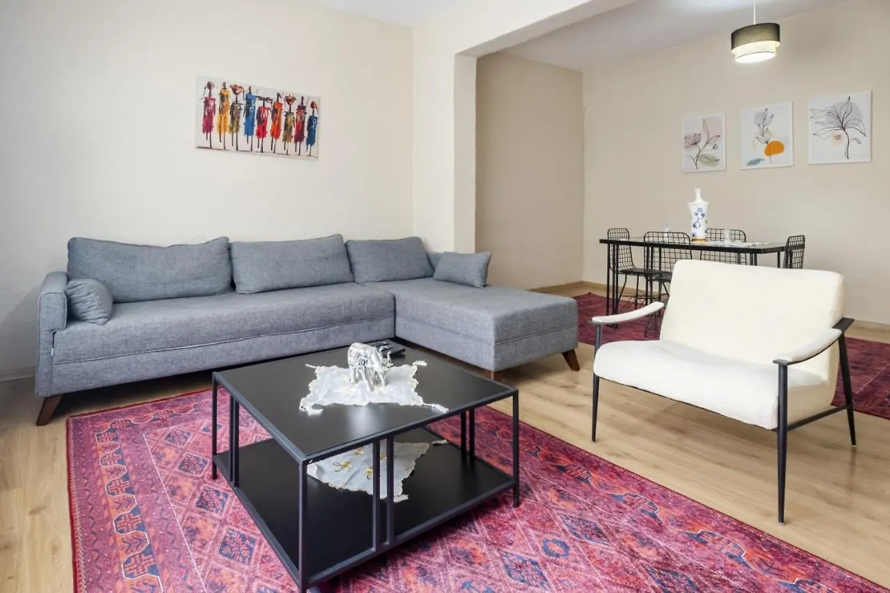 Superb Flat Apartment Istanbul Turkey